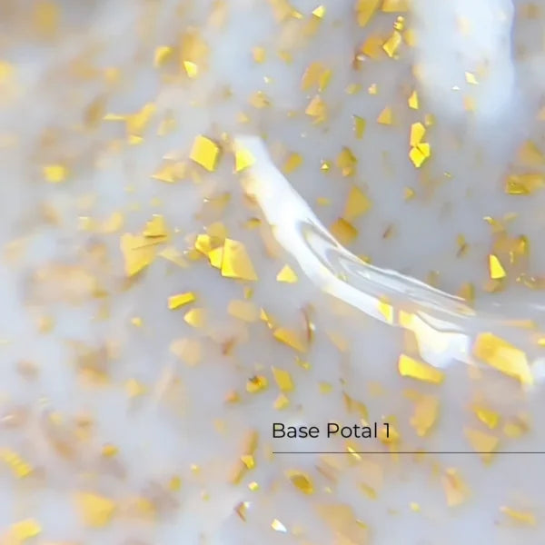 Base Potal Nr.1 Crystal Professional