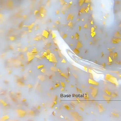 Base Potal Nr.1 Crystal Professional
