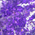 Builder Gel Flower Fairy Nr.5 Crystal Professional, 15ml